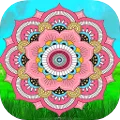 Mandala Creative Book