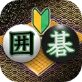Go (Recommended for beginners)