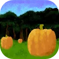 Evelyn's Farm