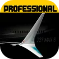 Flight 737 - Maximum