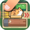 Push Push Cat