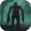 Forest Bigfoot Hunting