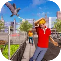 Pigeon Bird Flying Simulator