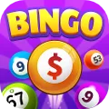 Bingo Prizes - Win Real Cash