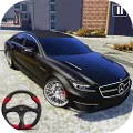 Traffic Car Driving Sim 3D