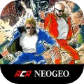 CYBER-LIP ACA NEOGEO