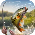 My Fishing Tour: Hook and Jerk
