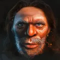 Neanderthal board game Premium