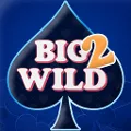 Big 2 Wild - Card Game