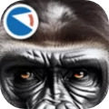 Animals of planet Earth