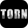 Torn City