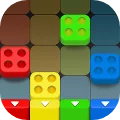 Wood Block Puzzle: Color Match