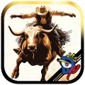 Bull Riding Challenge 4