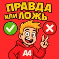 А4 Правда или Ложь | Викторина