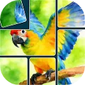 Jigsaw-Solitaire-Sort-Puzzle
