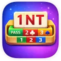 Bridge - Play & Learn