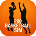 Pro Basketball Sim