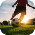 Football Pitch Simulator