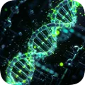 BioMerge: ORIGINS