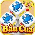 bau cua 2028