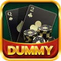 Dummy Hub