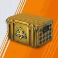 CS2 Case Simulator