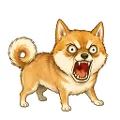 Bow Wow Doge Battle