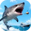 Yacht & Catch: Fishing