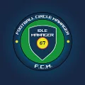 Football Circle Manager: Idle