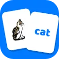 Tidy Words: Word Match
