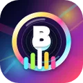 Bonmix