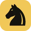 ChessRecall: Aberturas Xadrez