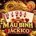 Mậu Binh Jackico