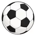 Futbolista: Soccer Life