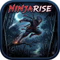 Ninja Rise