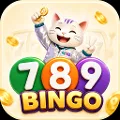 789Bingo Casino:Game