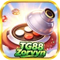 TG88Zorvyn
