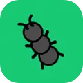 Ant Wars !