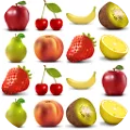 Fruit Salad +
