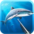 Hunter underwater spearfishing