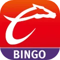 Caliente Bingo