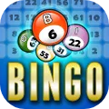 Bingo! Rush Lucky Ball Cards