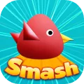 Cool Birds Game - Fun Smash